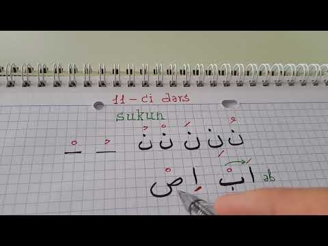 Hacı Fəxrəddin Quran dərsləri 11-ci dərs ( Sukun və həmzə )