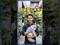 猫の本音 #ジョーク #おもしろ