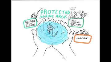 Bridging Science-practice-policy gap in biodiversity protection in the Mediterranean