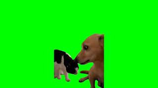 Cat And Dog Meme (Green Screen)