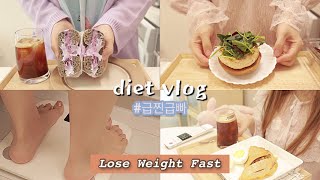 ENG) DIET VLOG [3일 급찐급빠 🔥] 맛있게 먹고 살이 쑥쑥 빠지는 단기다이어트 브이로그