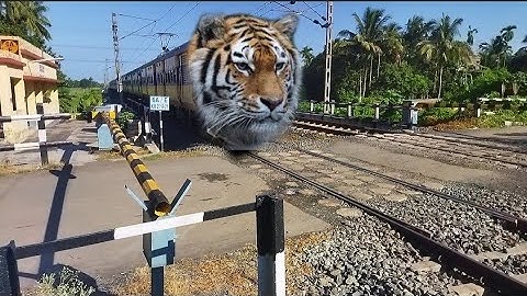 Fast & Furious Tiger Face MEMU Train : Sealdah-Jangipur MEMU Dangerous Moving Out At Railgate