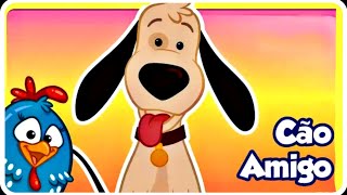 Bingo Galinha Pintadinhagalinha Pintadinha Minicão Amigodogcanção Bob Zoom