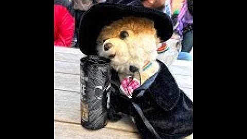 Live Coding & Reviews related to Apache Spark w/ K8s/Arrow