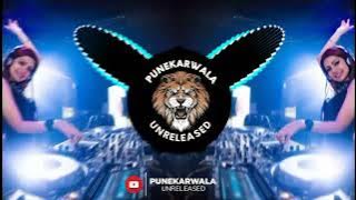 Ranu Ranu || PSY Vs Rowdy Style || Dj Akshay Anj x Dj Saurabh Digras ReMix || Punekarwala Unreleased