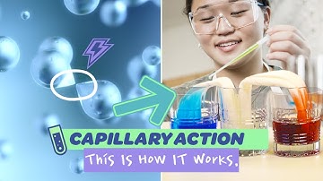 This Is How Capillary Action Works | Expulsion Science