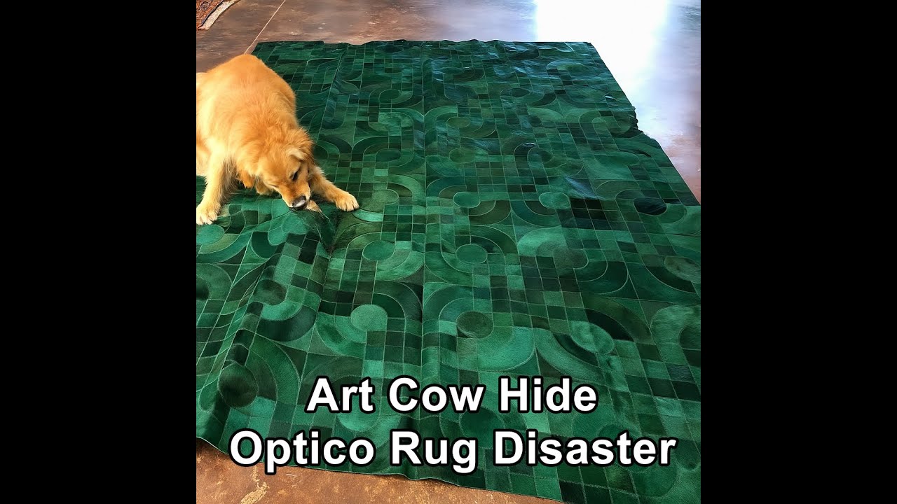 Naughty Dog Ruins Art Cow Hide Designer Rug! Watch the Stunning Restoration!
