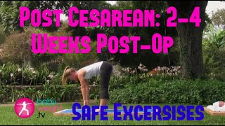 Safe Exercises After A Cesarean: 2-4 Weeks Post-Op (Full Video) screenshot 5