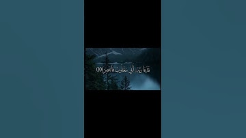 (فَدَعَا رَبَّهُۥٓ أَنِّي مَغۡلُوبٞ فَٱنتَصِرۡ) سورة القمر #اكسبلور #المنشاوي 