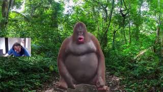 Callmecarson crying to monke