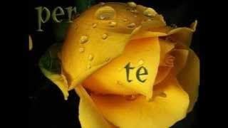 AUGURI di BUON ONOMASTICO