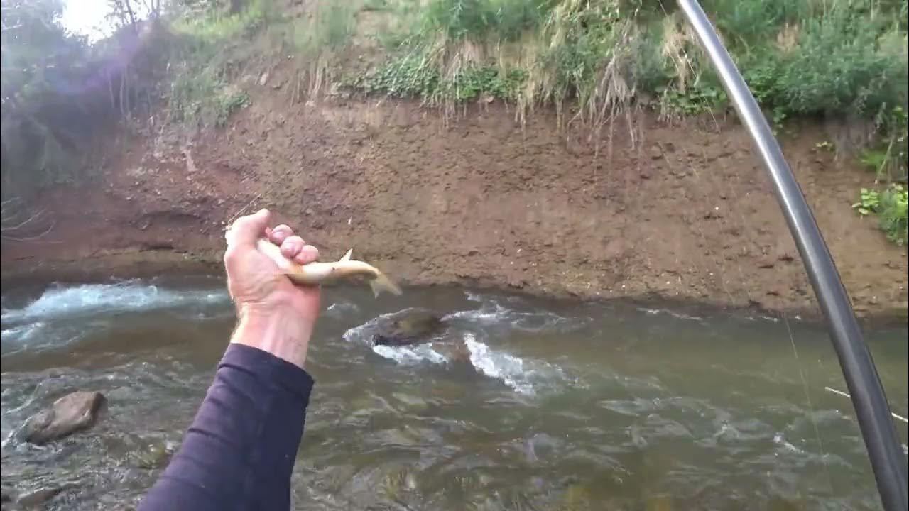 На что ловить маринку