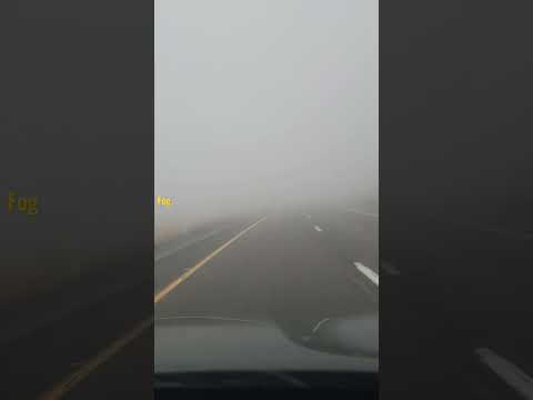 The Fog #weather#fog#driving#safety#people