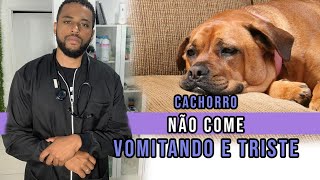 Cachorro não COME, VOMITA e está TRISTE! (guia completo).