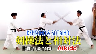 剣操法と相対法 ken soho & sotaiho #aikido #martialarts #germany