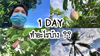 1 วันอยู่บ้านทำอะไรบ้าง 🏡 | TOP