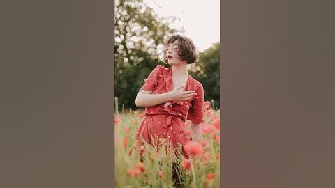 Red Poppy Flower Field #shorts
