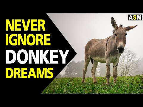 What does Donkey dream meaning || Dreaming of Donkey || Donkey dream interpretation