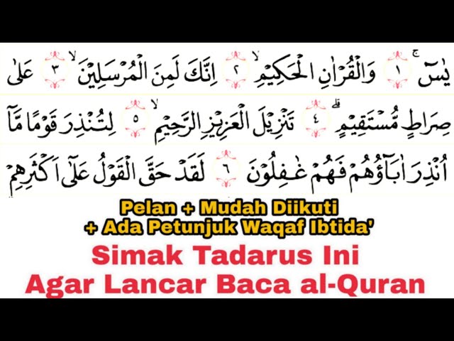 Tadarus Surat Yasin Ayat 1-83 (Full) Ada Tanda Warna Panjang & Dengung Agar Lancar Baca al-Quran class=
