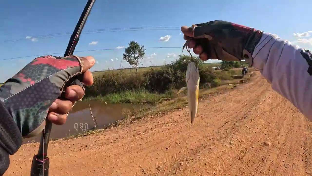 មកលេងកូនត្រី #សំបូរតែត្រីតូច #ក្តៅចង់ឆេះ