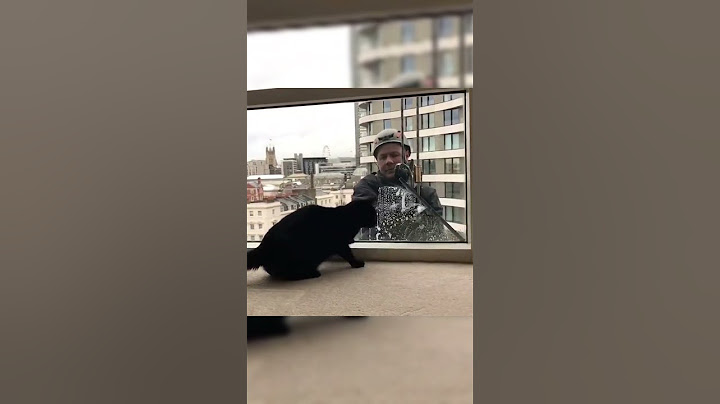 Window Washer Has Funniest Reaction to This Cat 🤣🐈‍⬛ #shorts #funny