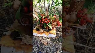Поделка из природных материалов для осенней ярмарки #handmade