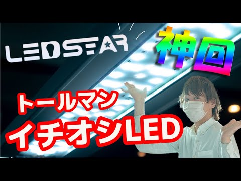 神回！RGBライトLEDSTARの極意 - YouTube