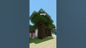 If I could play ONE Minecraft server…🤔❤️#minecraft #minecraftserver #gaming #bedrock #boxsmp #smp