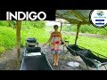 Backpacking El Salvador  (2019)  Indigo Farm & Cihuatan Mayan Site