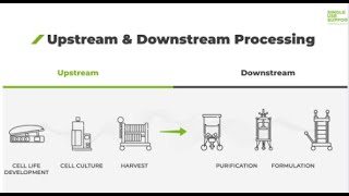 Lecture#6 | BioprocessingUpstream and Downstream Processes| Fully Explained in Urdu |Biotechnology