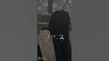 حالات وتس اب حزن فراق وهي تشرحلك بعد شلون لي فارق بلد اشتراك بالقناة لايك 