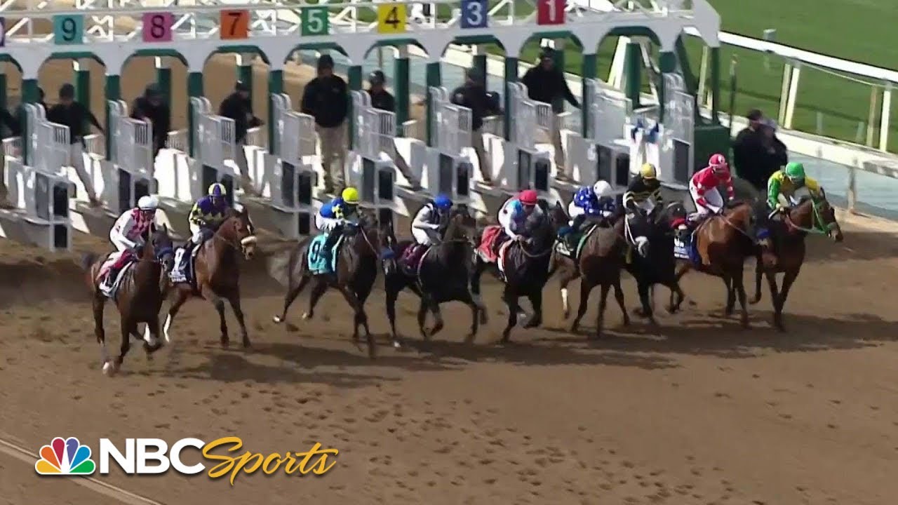 San Felipe Stakes 2023 (FULL RACE) NBC Sports YouTube