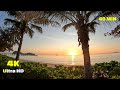 Virtual run tropical beach  palm cove 4k  running  virtual scenery  australia walking tour