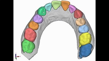 Multi-region segmentation based on compact shape prior