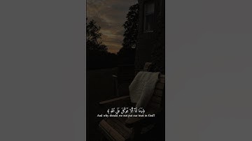 تلاوة القرآن الكريم🤎🪐