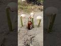 Dangerous three bullet start with fire 🔥 in eggs 🥚#trending #shorts