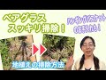 【庭の管理】ハーブ花壇と地植えのベアグラスのお掃除！ハンギングバスケットのお手入れも！/ズボラ園芸