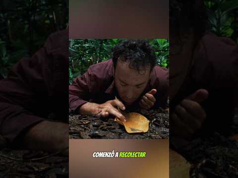 😧 Todo fue arrebatado y luego la esperanza se encontró en una cara #shorts