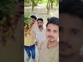 #muzaffarpur# lichi #bihar #agriculture #short #trending #viral #reels