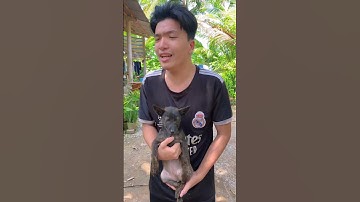 Sự khác biệt giữa anh người ta và anh tôi khi nhờ | Sinl #shorts