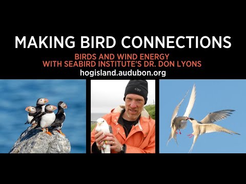 Making Bird Connections - Wind Energy and Birds