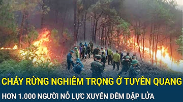 Cháy rừng nghiêm trọng ở Tuyên Quang: Hơn 1.000 người nỗ lực xuyên đêm dập lửa