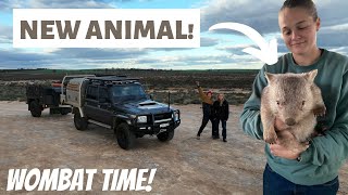 Outback adventure part 2: NEW ANIMAL: The Wildlife Twins by The Wildlife Twins 272 views 1 year ago 19 minutes