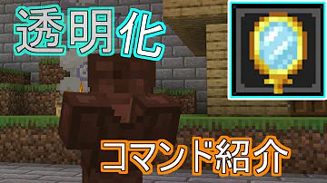 マイクラ透明化にする名前