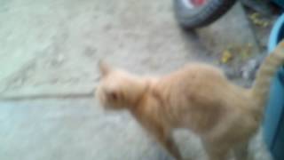 Migatio Ojo So Natalia