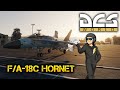 🔴 Развлекаемся на PvE сервере на F/A-18C Hornet | DCS World Gameplay !live !stream