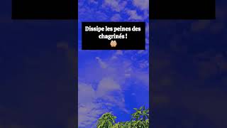 UNE INVOCATION POUR TOUTE LA COMMUNAUTÉ MUSULMANES.
