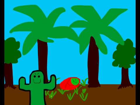 the cactus story