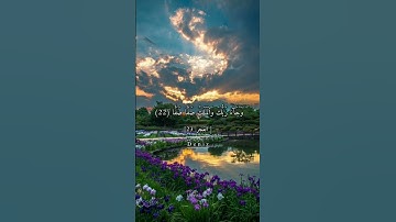 كلا اذا دكت الارض دكا دكا _ سورة الفجر #راحة_نفسية #قرأن #تلاوة