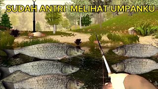 Umpan jitu mancing ikan chub professional fishing mod apk screenshot 1